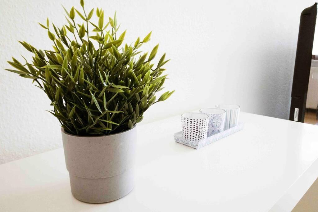 Top Moderne Wohnung In Leipziger Altbau - Netflix Inklusive Ngoại thất bức ảnh